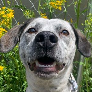 Meet your Posher, May